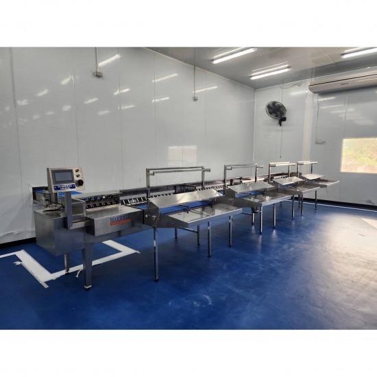 โรงงานผลิตเครื่องคัดไข่ดิจิตอลรุ่น 25000 เครื่องคัดไข่ 25000 ฟอง ระบบดิจิตอล  ขายเครื่องคัดไข่  เครื่องคัดไข่ไก่ 